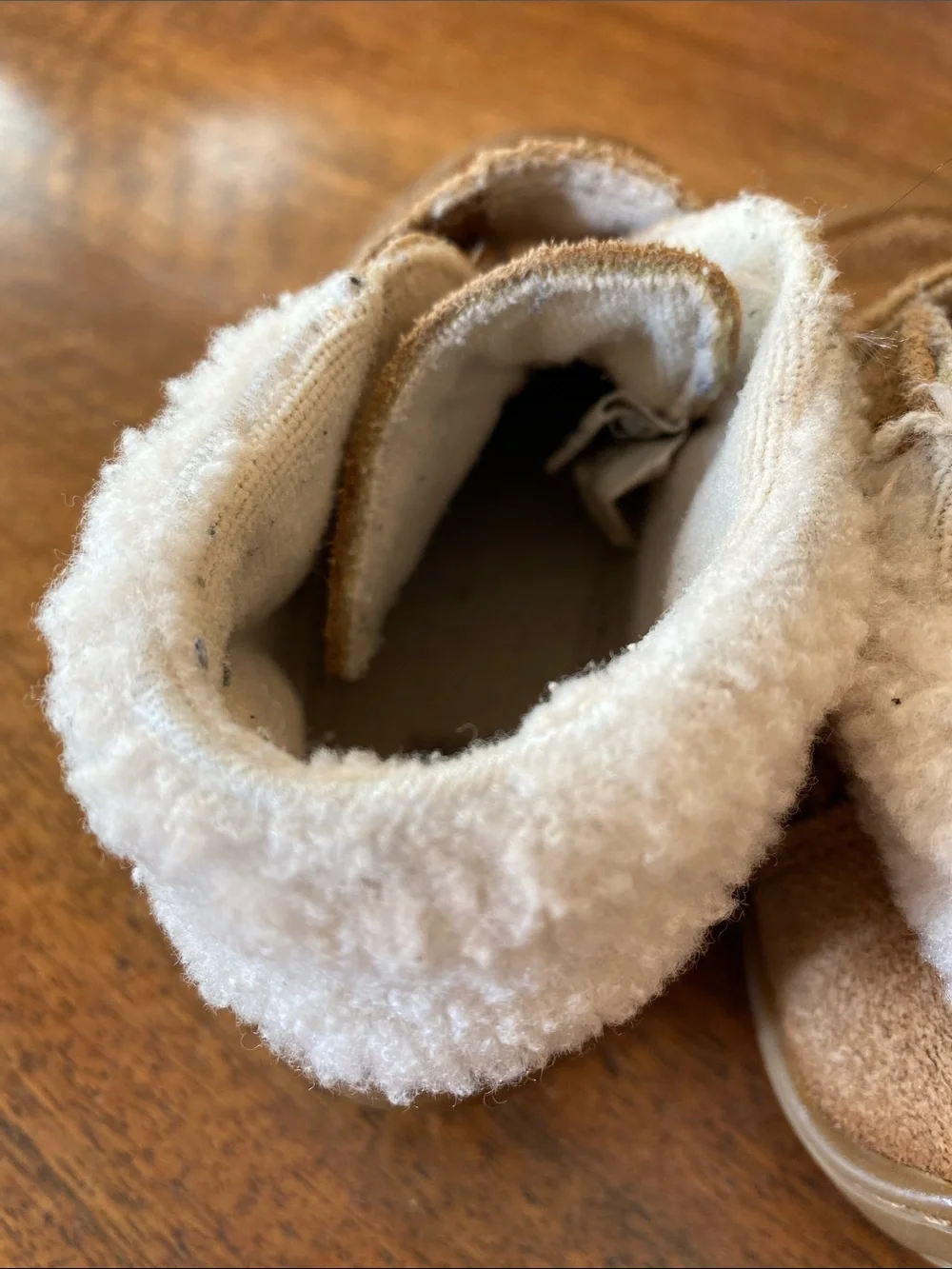 FREE UGG Booties